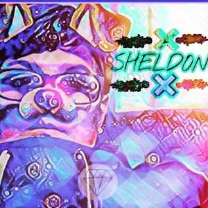 Meet your Posher, Sheldon